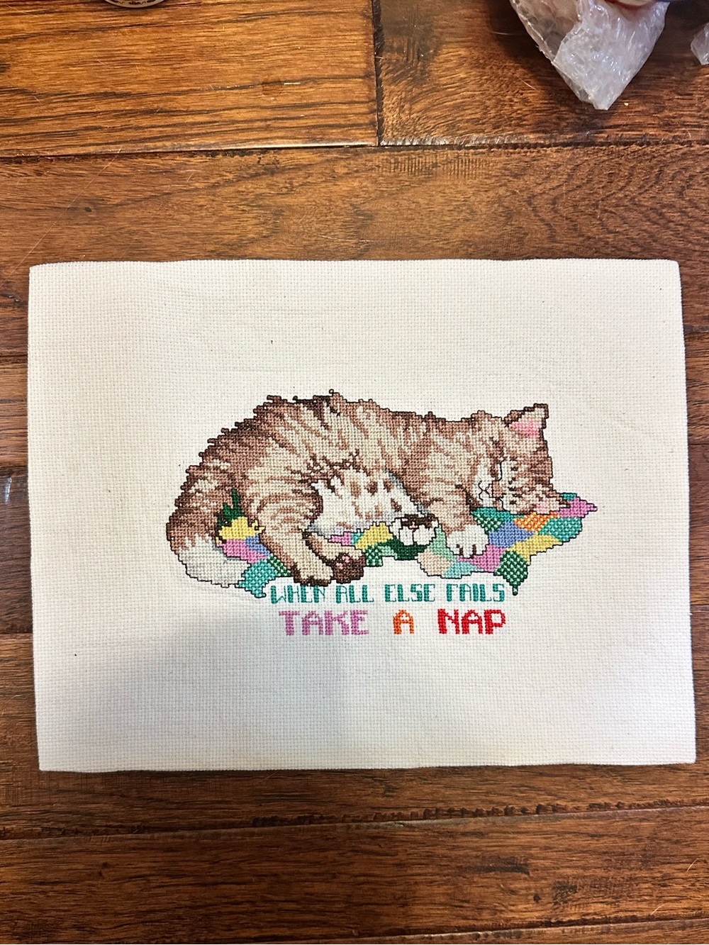 Vintage cross stitch Sleeping Cat Art - "When All Else Fails Take A Nap"